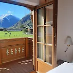 Hochalmbahnen 1-04, Alpenkrokus, Nahe Gondel, Hunde Willkommen * Rauris