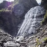 Hochalmbahnen 1-04, Alpenkrokus, Nahe Gondel, Hunde Willkommen *