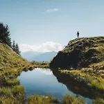 Hochalmbahnen 1-04, Alpenkrokus, Nahe Gondel, Hunde Willkommen *