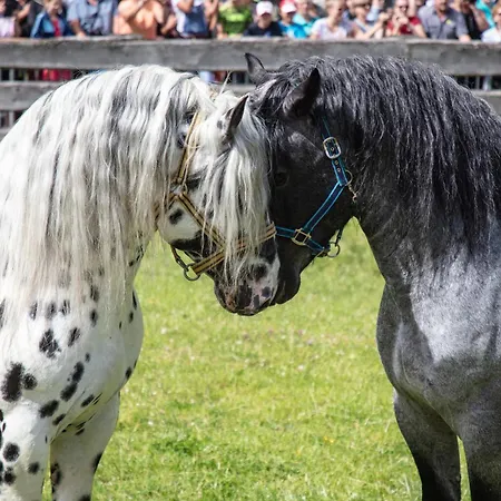 Hochalmbahnen Chalets 1-04, Alpenkrokus, Nahe Gondel, Hunde Willkommen * راوريس