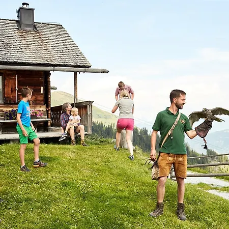 Horská chata Hochalmbahnen 1-04, Alpenkrokus, Nahe Gondel, Hunde Willkommen