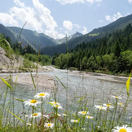 Chalet Hochalmbahnen Chalets 1-04, Alpenkrokus, Nahe Gondel, Hunde Willkommen Rauris