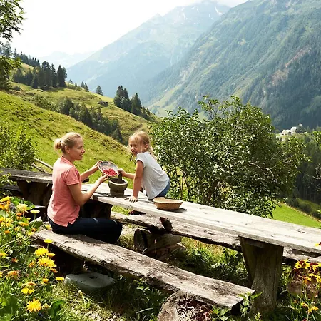 Hochalmbahnen 1-04, Alpenkrokus, Nahe Gondel, Hunde Willkommen Dağ evi *