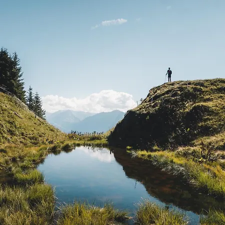 Hochalmbahnen 1-04, Alpenkrokus, Nahe Gondel, Hunde Willkommen *