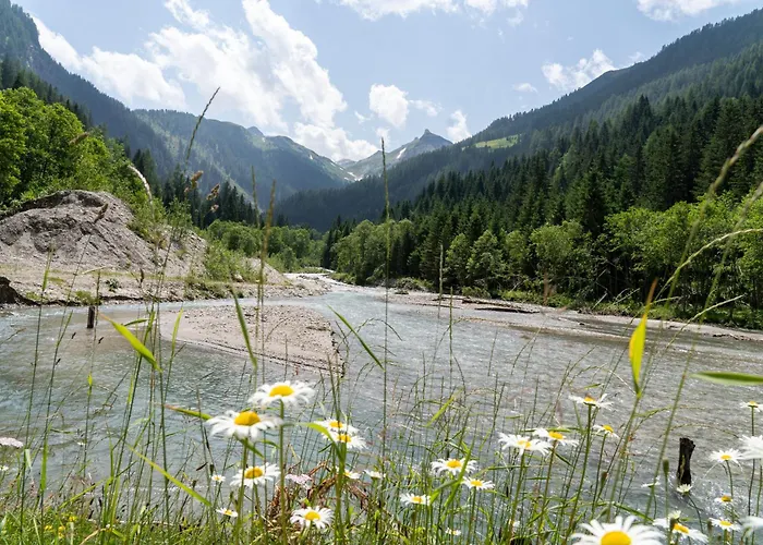 شاليه Hochalmbahnen Chalets 1-04, Alpenkrokus, Nahe Gondel, Hunde Willkommen راوريس